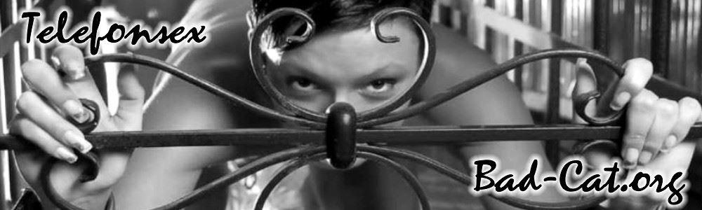 Bad-Cat.org Bad-Cat.org